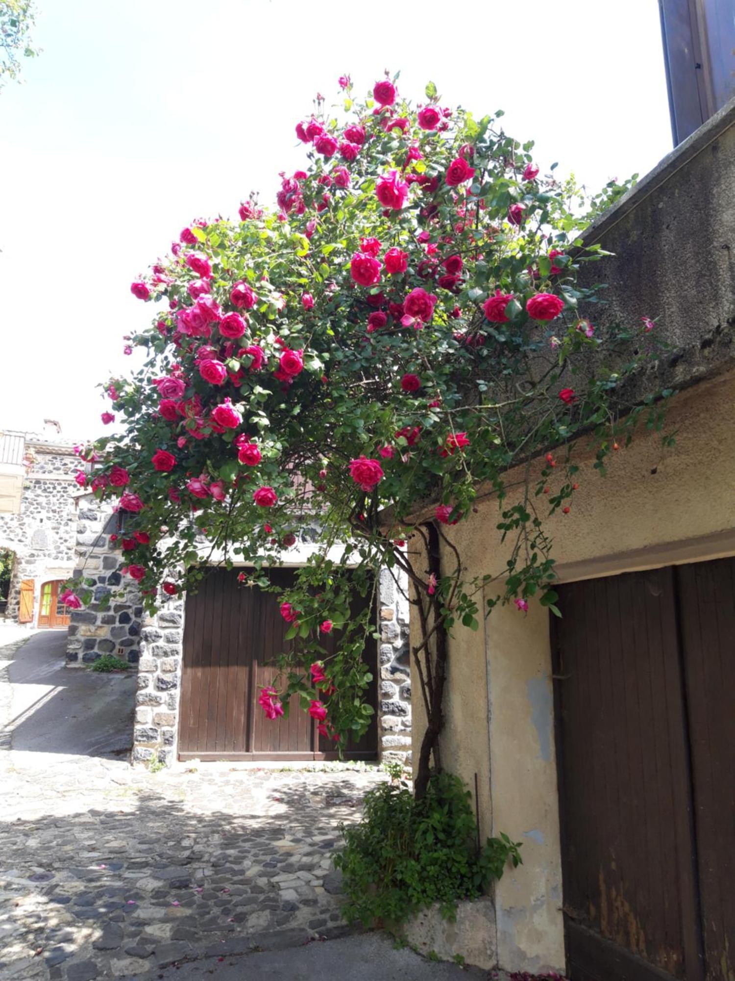 Villa Le Cocon à Lussas Extérieur photo